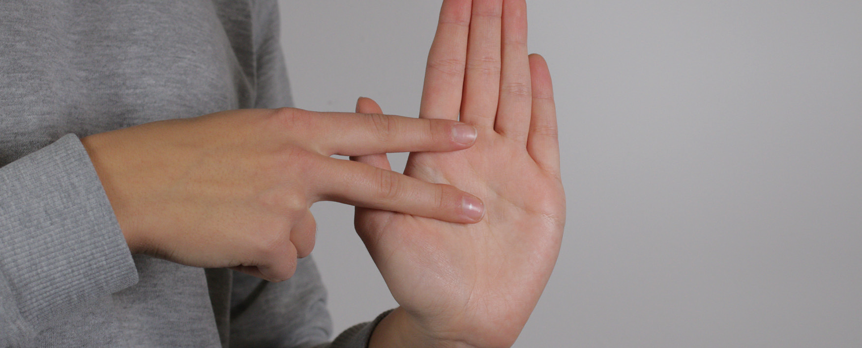 Gebärdensprache (DGS) mit Fingeralphabet